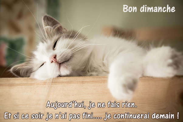 Message Bon Dimanche Humour Amour Amitie Sms Original Poeme Image